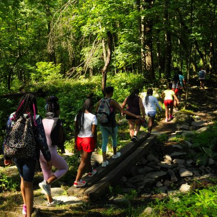 Camp Jamison - Hiking Trails